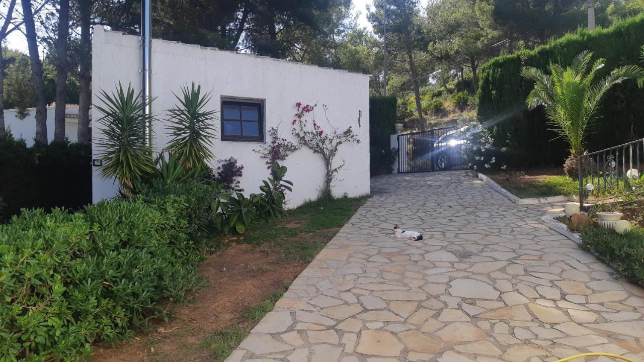 Ferienwohnung Mit Privat-Pool Alcoceber Екстер'єр фото