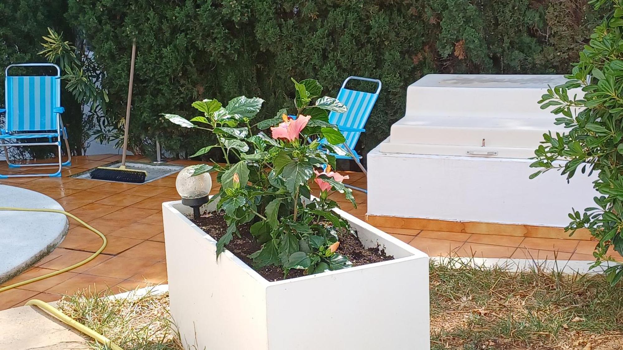Ferienwohnung Mit Privat-Pool Alcoceber Екстер'єр фото