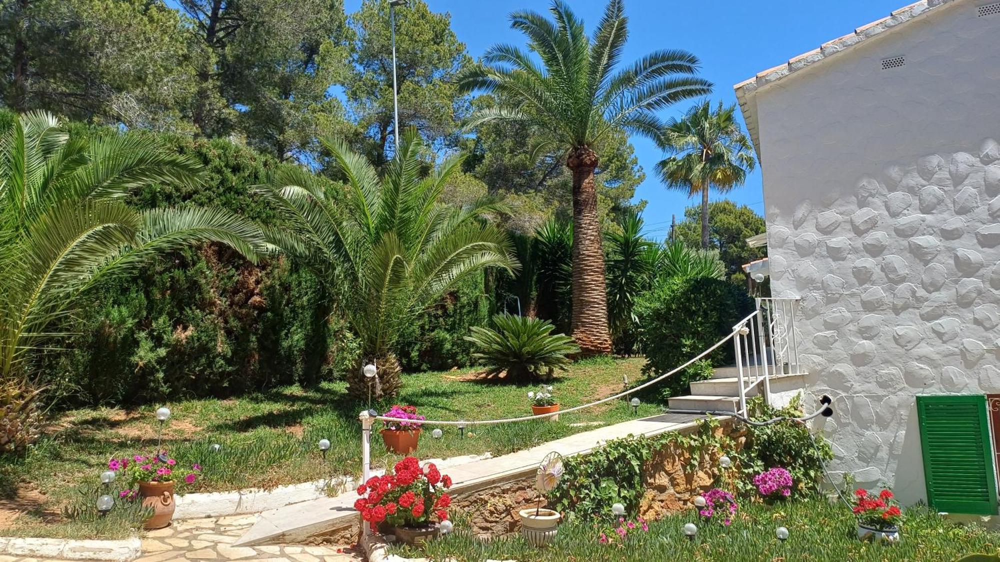 Ferienwohnung Mit Privat-Pool Alcoceber Екстер'єр фото